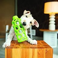 Vista 2 de JW Pet Hol-ee Bottle Dog Chew Puzzle Toy, Medium