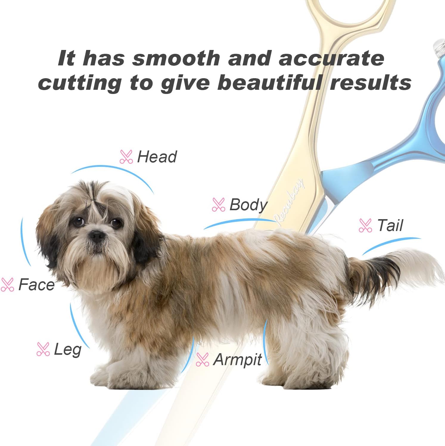 Dog Cat Scissors for Grooming, Pet Shears for Thick Coats and Matted Hair, Thinner Curved Straight Chunker Stainless Steel Shears