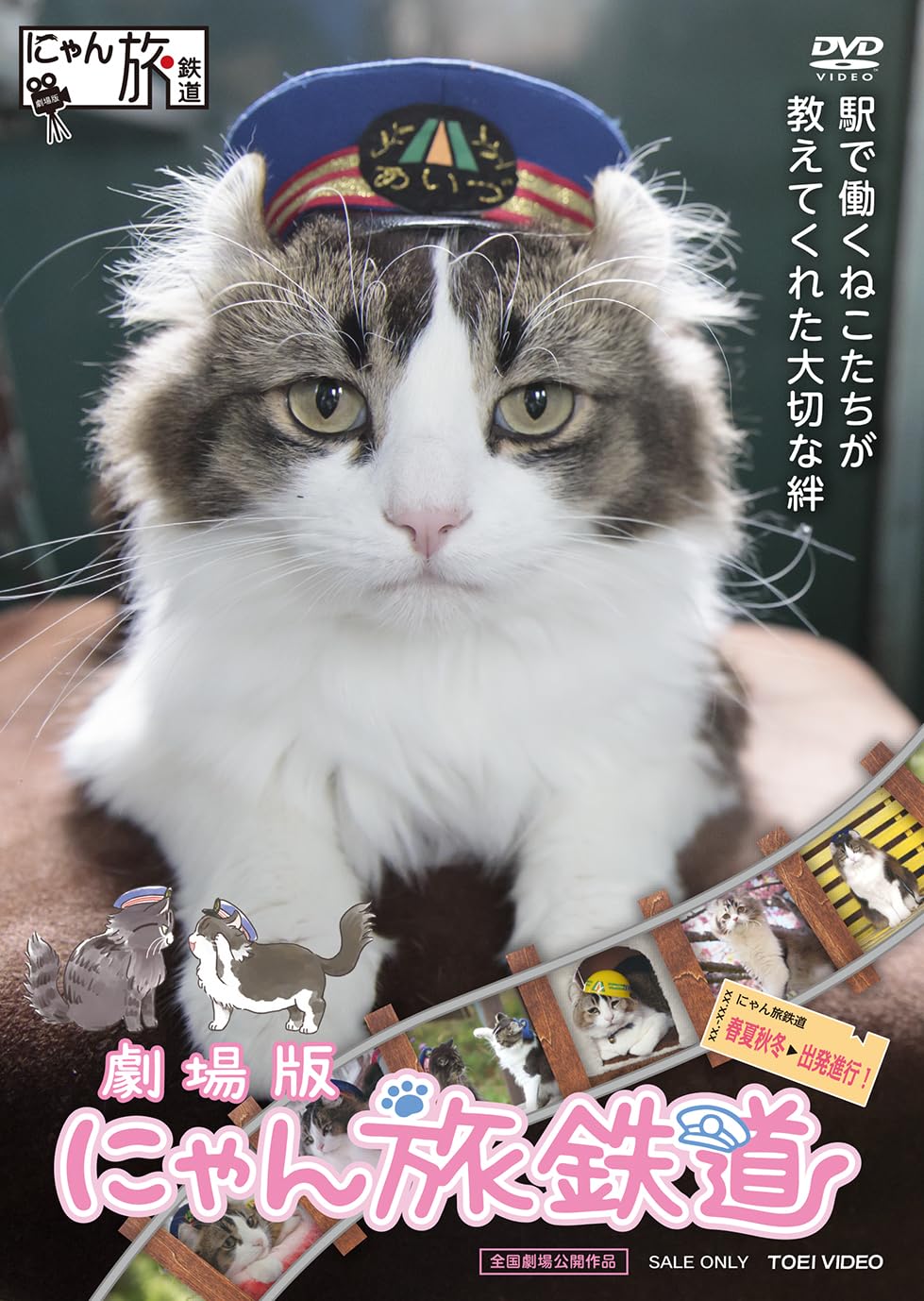 映画『猫企画』 DVD みゃあすう（枚数）限定！アニメ映画『猫企画』DVD、2020年6月29日