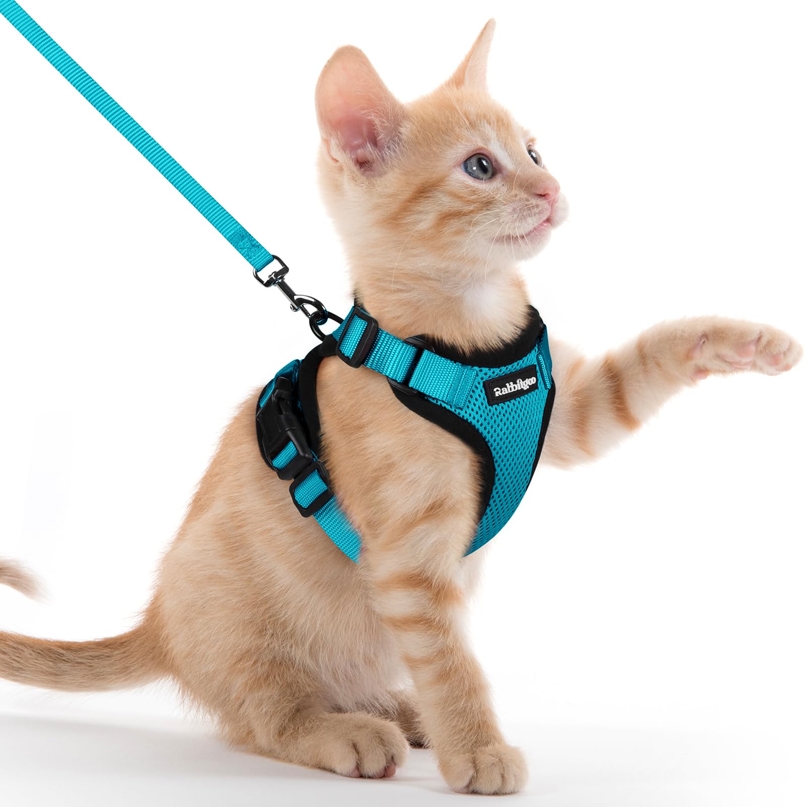 rabbitgoo Cat Harness and Lead Set, Adjustable Escape Proof Cat Lead for Walking, Reflective Kitten Harness Set, Soft and Comfortable for Medium to Large Cats,Teal, XXS