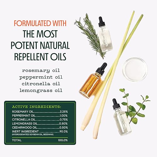 Miniatura 4 de Murphy's Naturals Mini velas repelentes de mosquitos para patio al aire libre, citronela y aceites esenciales, tiempo de combustión de 14 horas cada