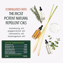 Murphy\'s Naturals Mini Mosquito Bug Repellent Candles for Outdoor Patio, Citronella & Essential Oils, 14-Hour Burn Time Each, 3.5 oz, 3-Pack