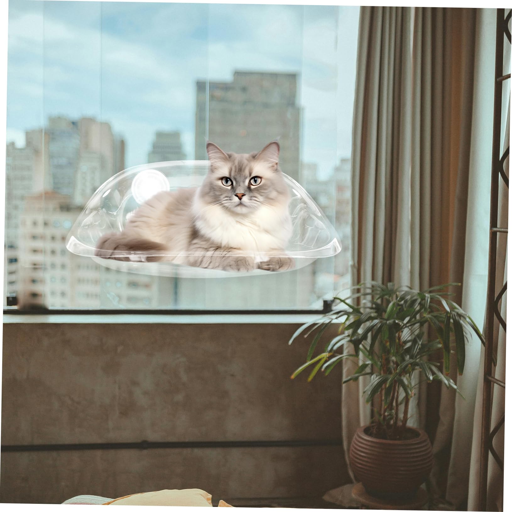Kisangel Katzenhängematte mit Saugnapf für Fensterbank Stabiles Katzenbett aus As Material Einfacher Aufbau als Schlafplatz im Wohnzimmer oder Schlafzimmer