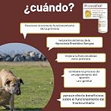 Ver la foto 3