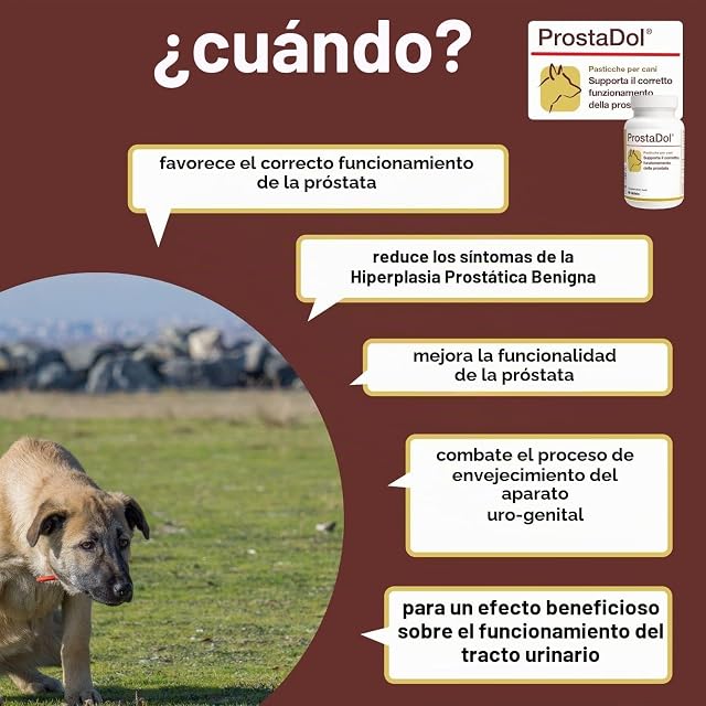 Foto 3 de 6 de Dolfos Pets Dolvit ProstaDol Suplementos para Perro, 90 Comprimidos, Próstata y Vías Urinarias