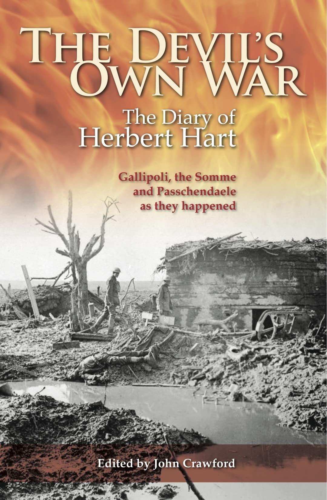 Buy The Devil's Own War: The Diary of Herbert Hart - Gallipoli, the Somme and Passchendaele as they happened — BookShops.in