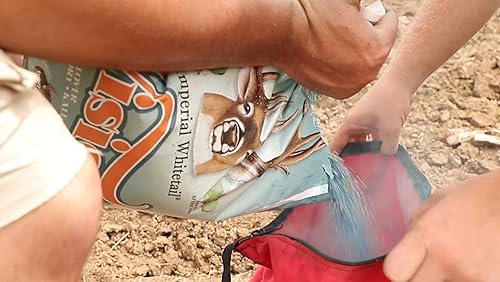 Miniatura 4 de Whitetail Institute Vision Deer Food - Semillas de parcela para plantar en otoño, mezcla perenne de trébol, achicoria y col rizada para atraer y