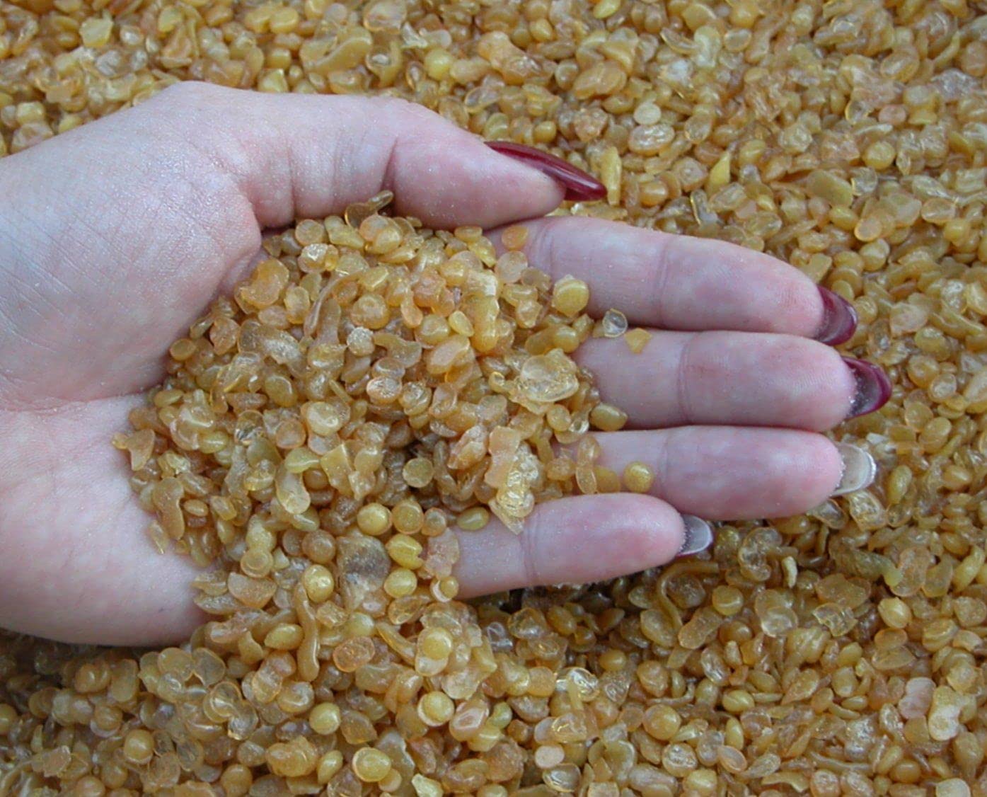 Holzleim Bindan Knochenleim Glutinleim 100 g biologisch, zu 100% abbaubar ohne Konservierungsmittel inkl. Leimpsachtel und Pinsel von E-Com24 (Knochenleim 5 kg)