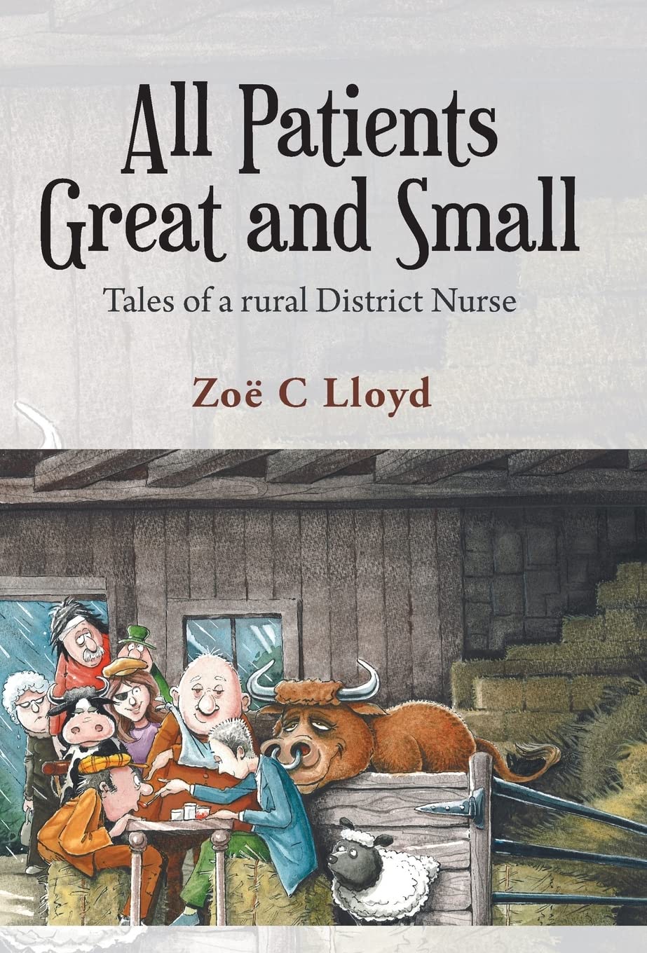 All Patients Great and Small: Tales of a Rural District Nurse