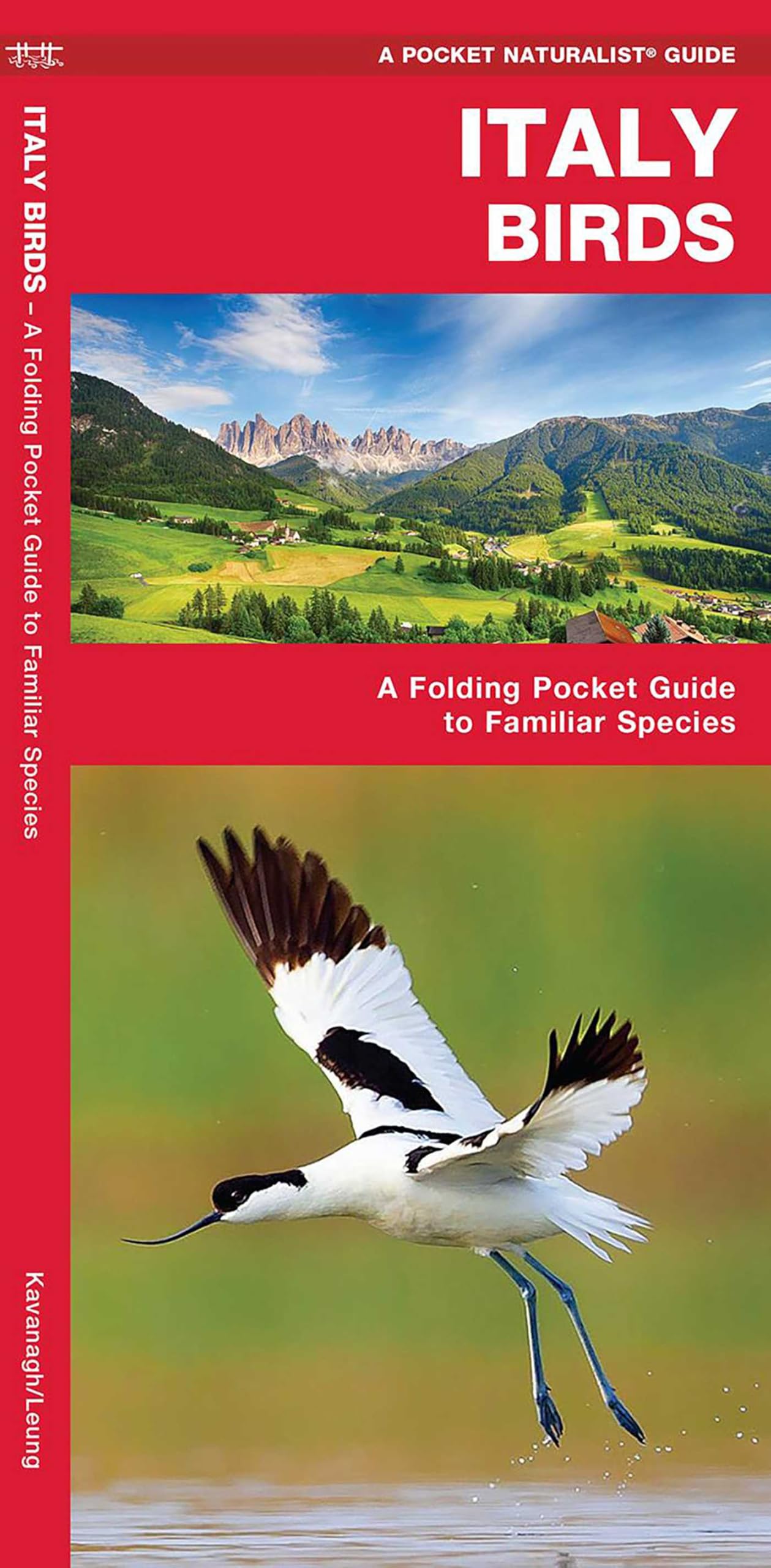 Italy Birds: A Folding Pocket Guide to Familiar Species (Pocket Naturalist Guide) (Wildlife and Nature Identification) (Nature Observation International)