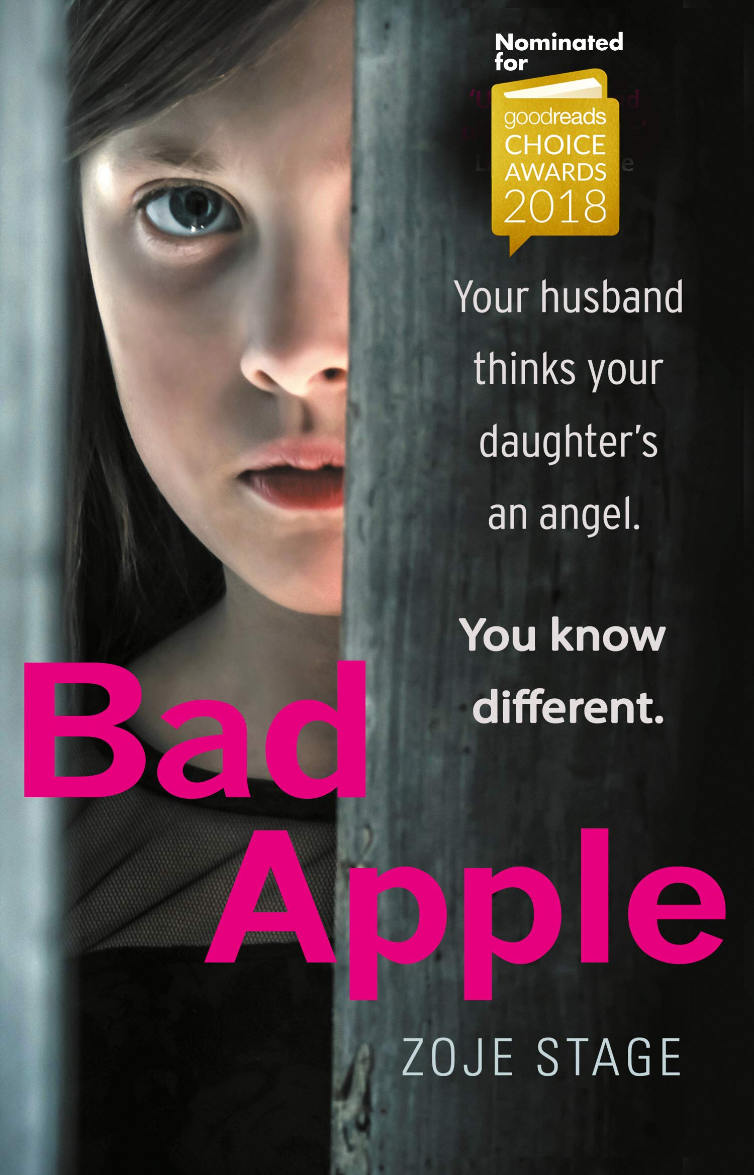 Bad Apple by Zoje Stage PAPERBACK 9780552175012