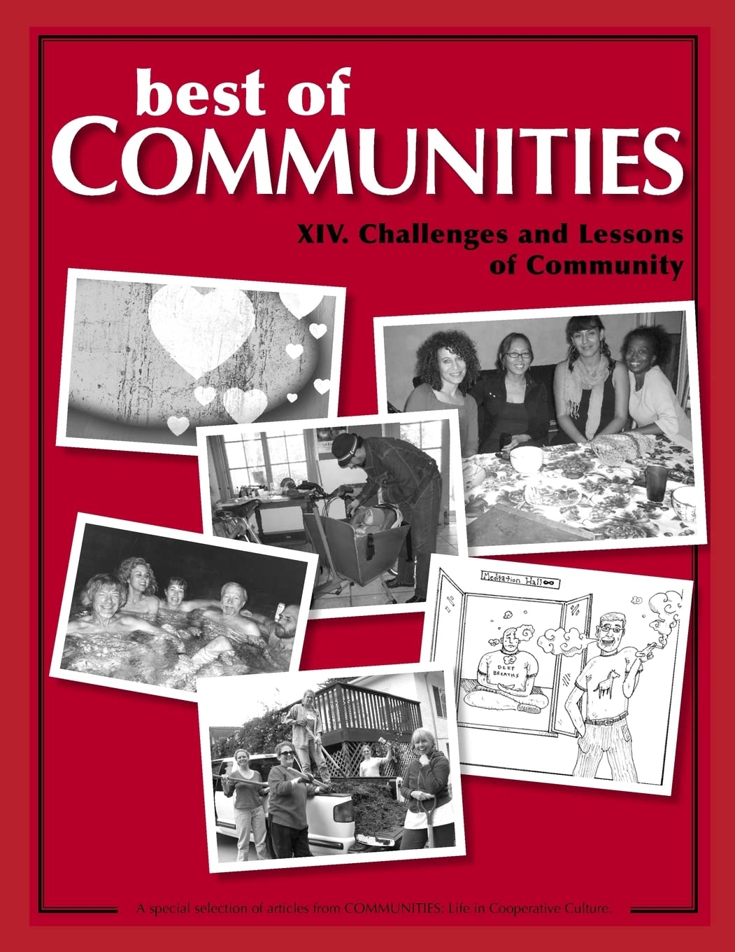 Best of Communities: XIV. Challenges and Lessons of Community: Volume 14