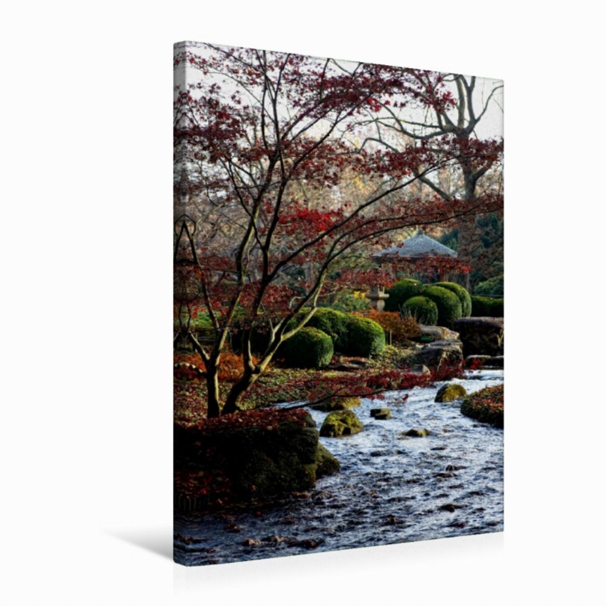 CALVENDO Japanischer Garten, Botanischer Garten Augsburg, Deutschland