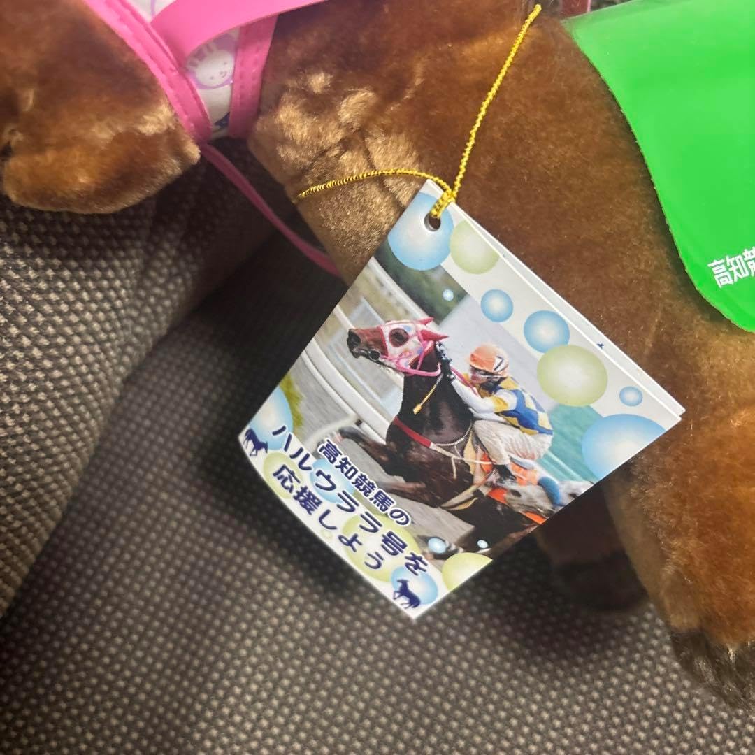 高知競馬 ハルウララ号 ウマ娘』×「高知競馬場」コラボ決定