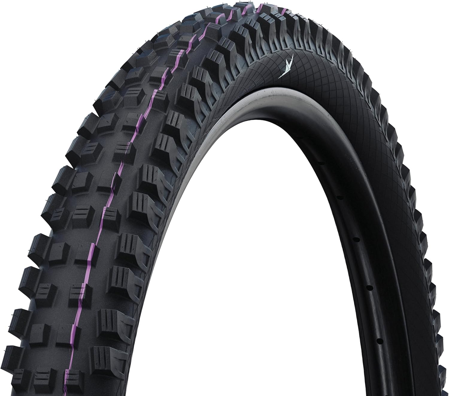 Schwalbe Magic Mary Radial Bicycle tyre – Downhill & Enduro MTB – Tubeless Ready Folding tyre