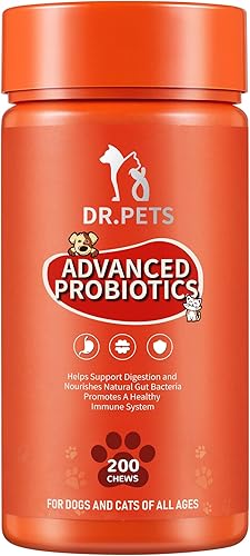 Probiótico para perros y gatos Alivia la diarrea malestar estomacal gases estreñimiento y mal aliento picazón alergias e infecciones por hongos