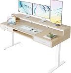 HUANUO 48″ x 26″ Electric Standing Desk with 24.4″ Large Keyboard Tray & 2 Drawers, C-Clamp Mount Compatible, Adjustable Computer Desk for Home Office, Sit Stand Up Desk with 4 Height Presets, Black
