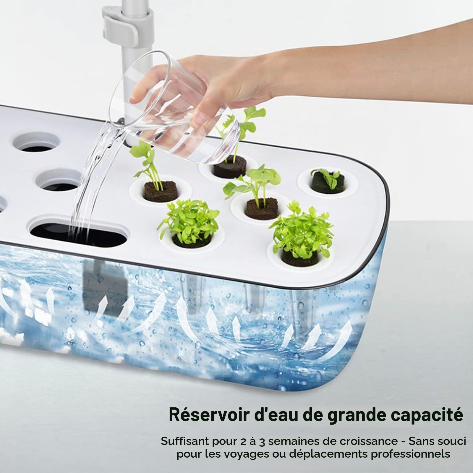 RoseFlower Système De Culture Hydroponique d'intérieur à 12 dosettes, Mini Serre Interieur avec Hauteur Réglable LED Grow Light, Potager Interieur, Station de Culture de Plantes - Noir