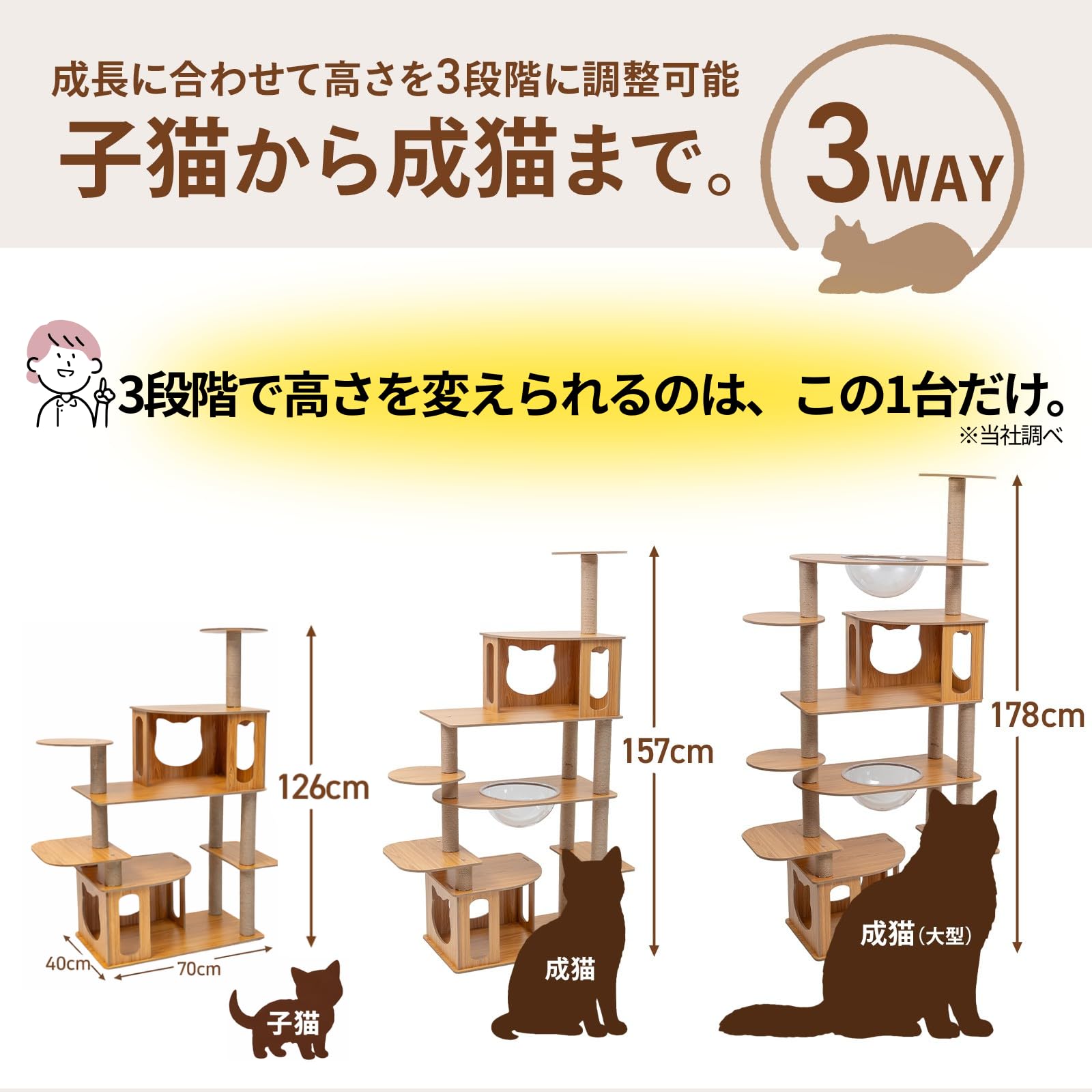 Amazon | 【安心の日本企業】 キャットタワー 突っ張り 木製 大型 猫