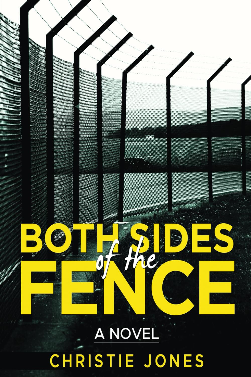 Both Sides of the Fence: A Novel