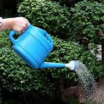 Generic 2 Gallon Plastic Blue Watering Can with Removable Long Spout, Large Capacity for Indoor Outdoor Plants