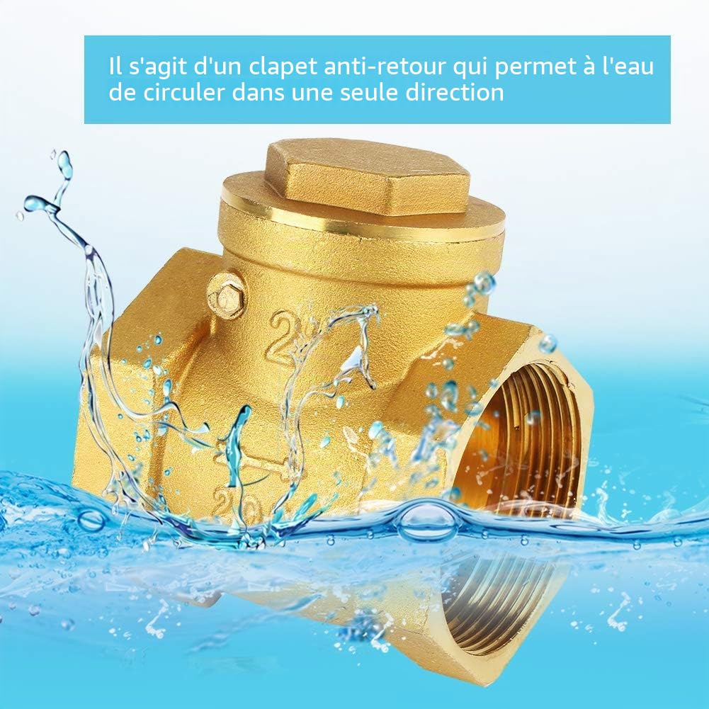2 Pouces Clapet Anti-retour à Filetage Femelle DN50 en Laiton Clapet Anti-retour à Battant Anti-retour D'air 232Psi Empêche le Reflux D'eau
