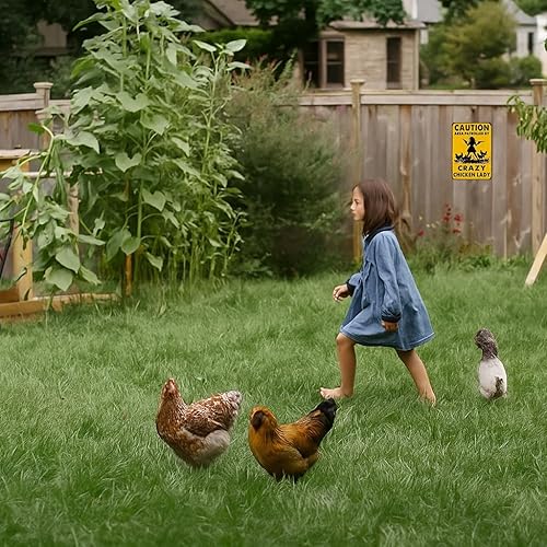Miniatura 5 de Divertidos regalos de pollo con texto en inglés "Caution Area Patrolled By A Crazy Chicken Lady", letrero de lata para el hogar, granja, gallinero,