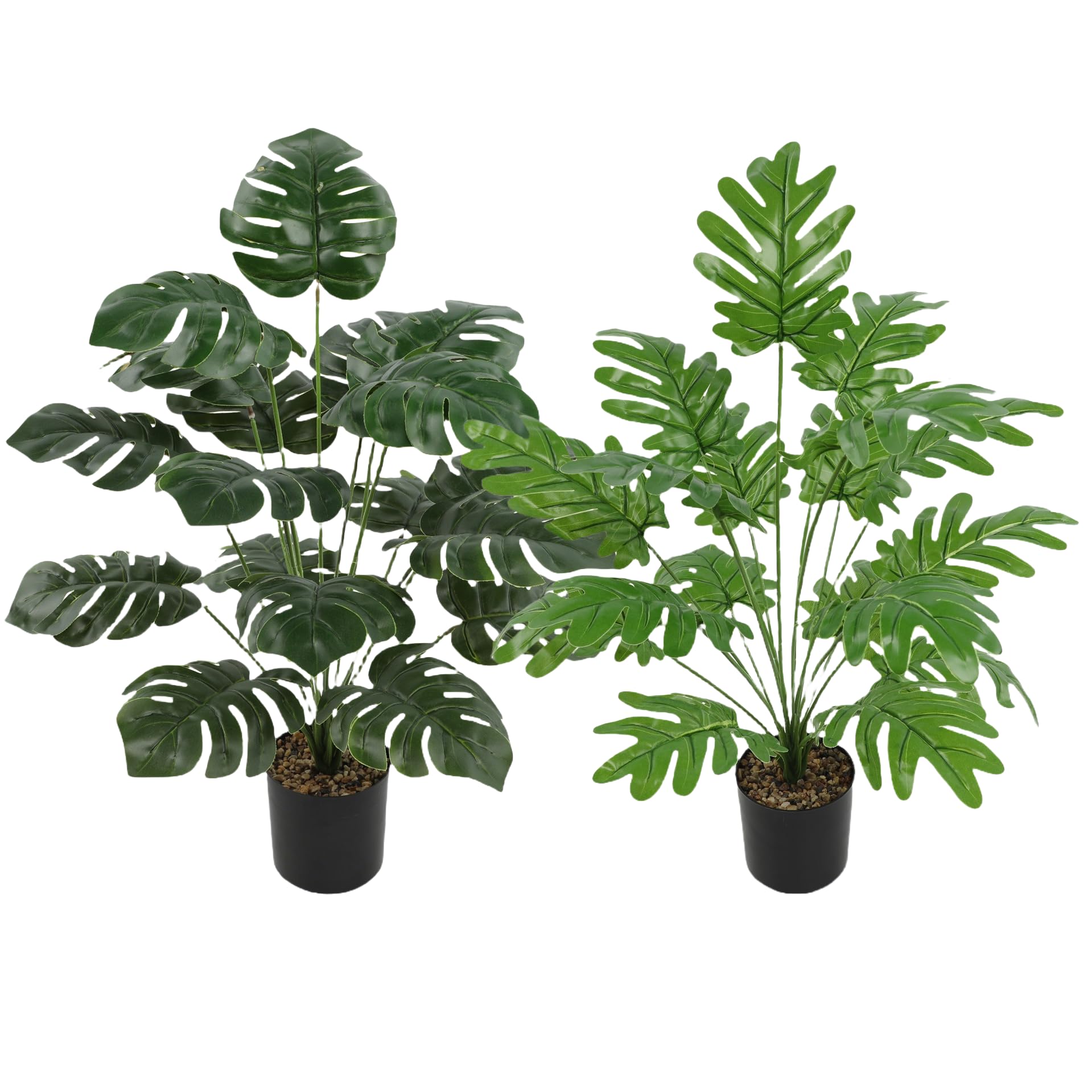 Plantes d'intérieur 2 pots de feuilles de tortue fausse plante pour déco murale