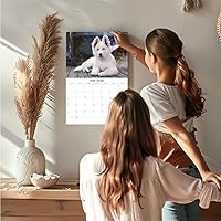 Vista 605 de Razas de Perros 2017