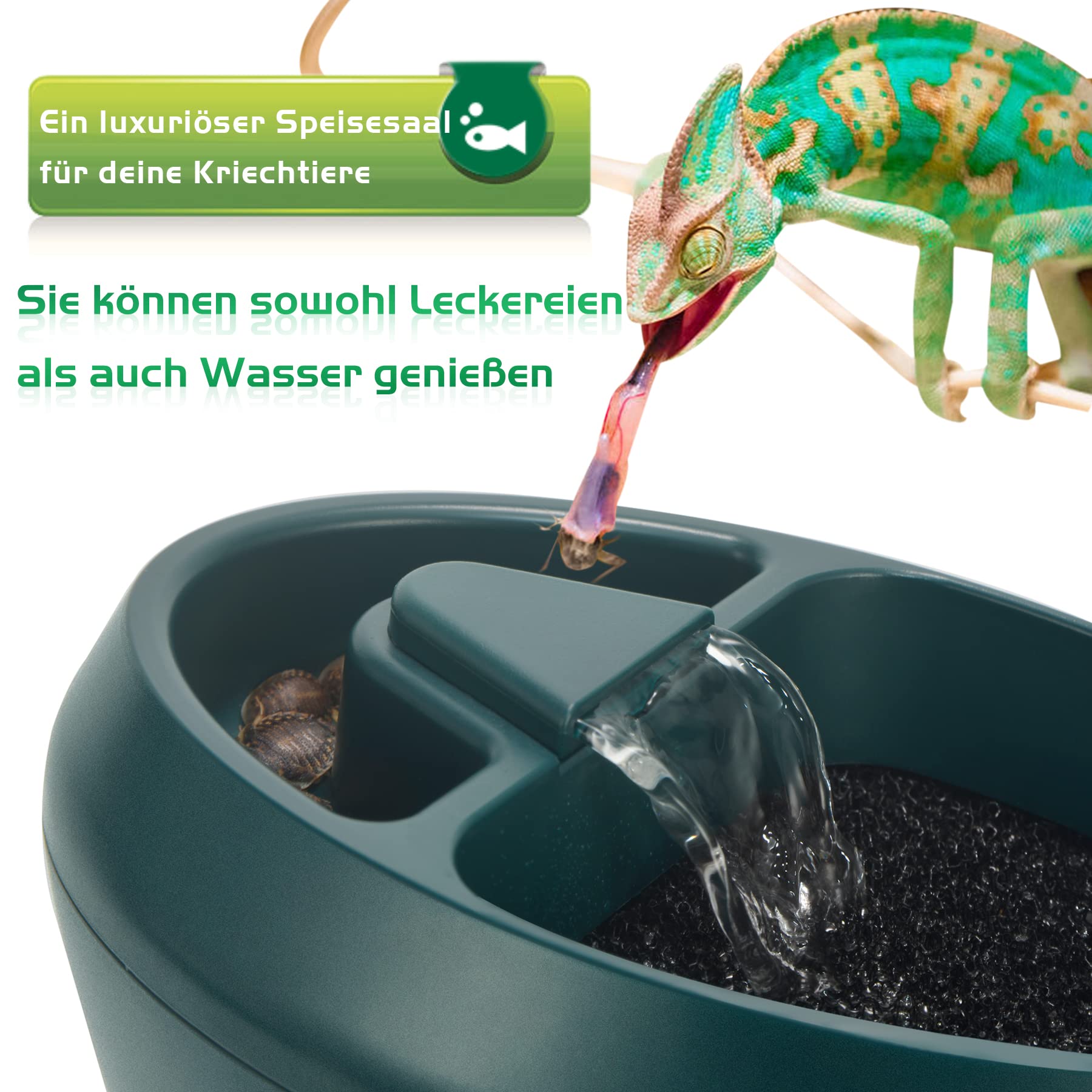 Reptil Chamäleon Kantine mit Snacks Trog, Trinkbrunnen Wassertropfe für Amphibien, Insekten Eidechse Schildkröte Schlange Spinne Frosch Gecko, kommt mit Zwei Pumpen (eine als Ersatz)