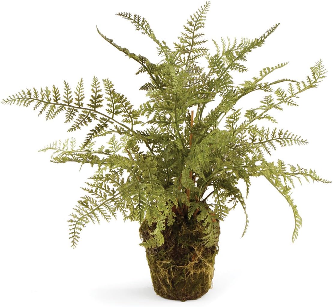 Napa Home & Garden, Soft Fern Drop-in 13"