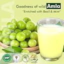 AVG Health Organics Amla Berry Green Juice | Pure Amla Extract - 1000 ml | Rich in Vitamin C, Antioxidants | Boosts Immunity, Natural Detox, Hair & Skin Health | 100% Natural, No Added Sugar | Herbal Superfood gallery image