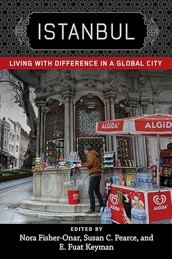 Istanbul: Living with Difference in a Global City (New Directions in International Studies)