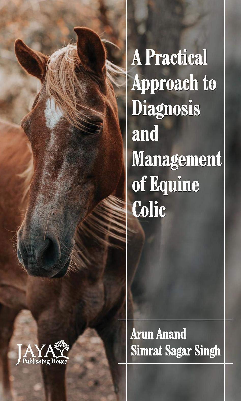 Practical Approach to Diagnosis & Management of Equine Colic