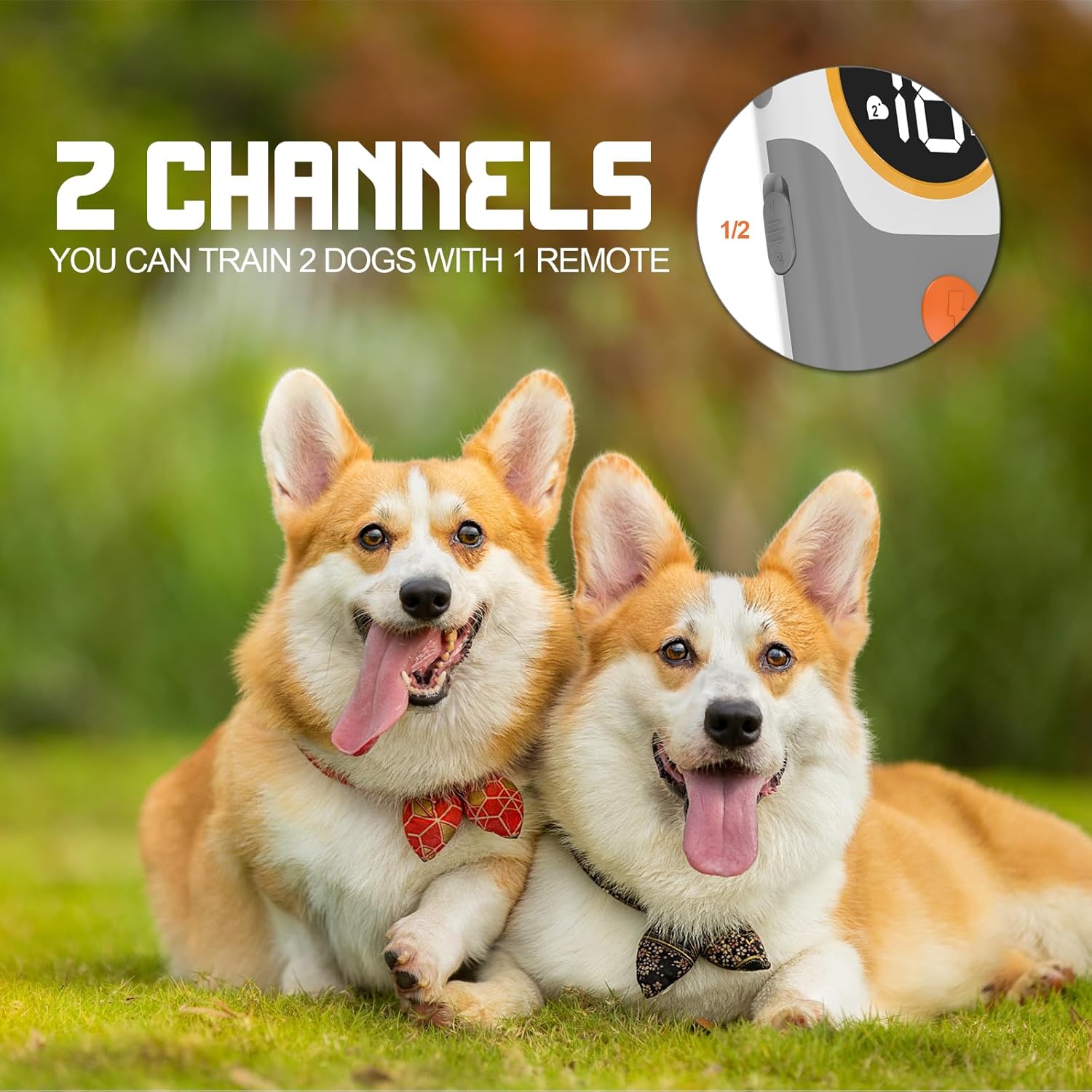 Aikko Dog Shock Collar 2 Dogs with Remote - 2400 Ft Waterproof Training Collar for Dogs Large Medium Small with 3 Modes, Beep Vibration Safe Shock, IP67 Waterproof Electric Collar for Dogs