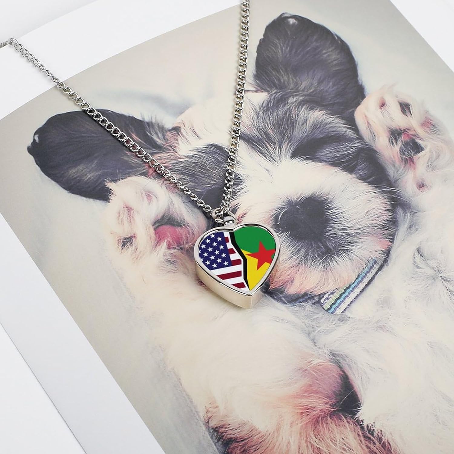 American And French Guiana Flag Pet Urn Necklace Ashes Cremation Pendant | Personalized Jewelry,Gifts for Dog Lovers