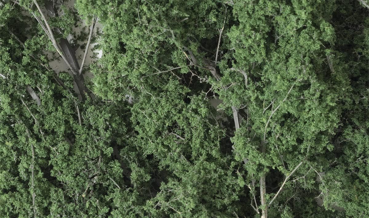 FINE Leaf Foliage Dark Green
