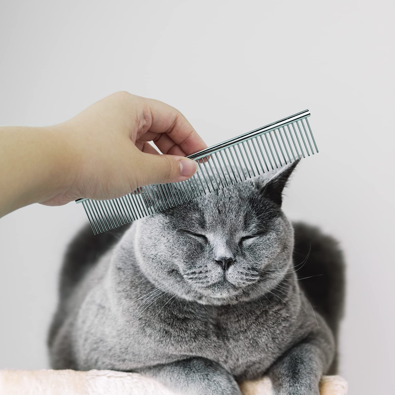 Pettine In Acciaio Inossidabile Per Cani E Gatti | Denti Arrotondati | Toelettatura Sicura E Comoda