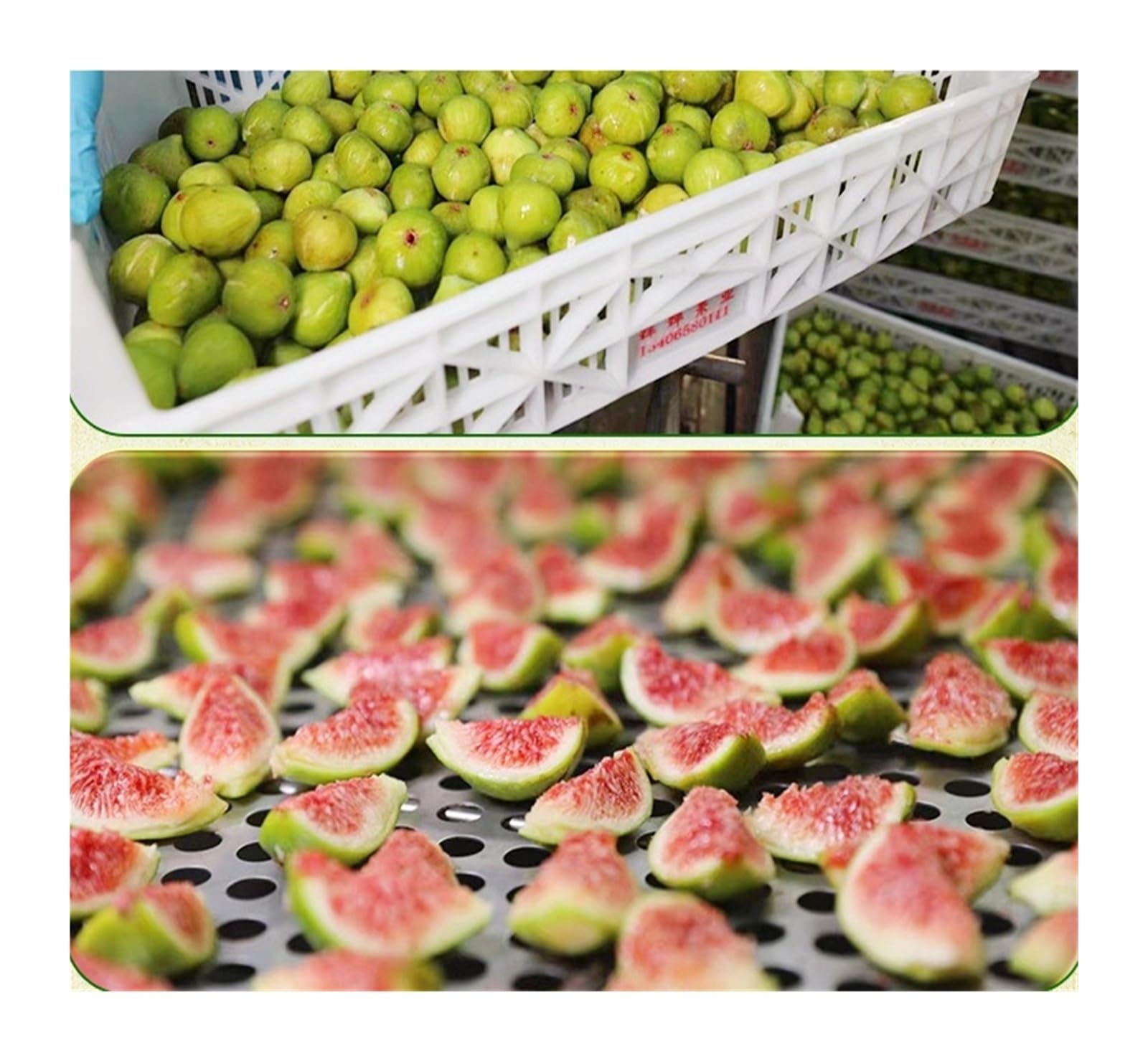 Fichi secchi pronti da mangiare 118 g, con un aroma unico di miele e una consistenza morbida e gommosa, più freschi che mai.(2pcs)