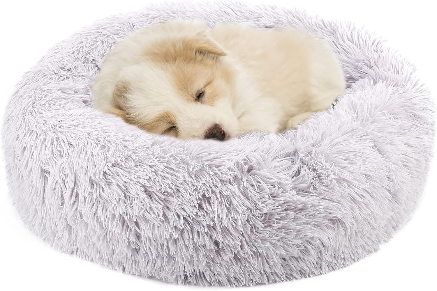 donut dog bed