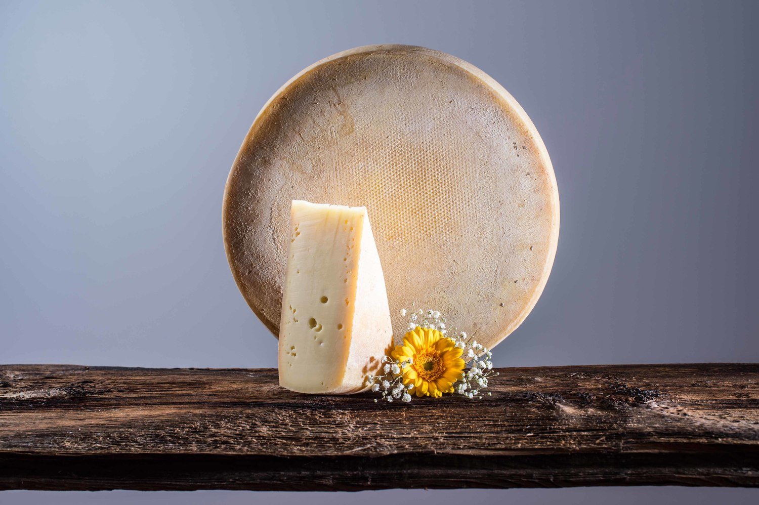 Formaggio contadino di Sesto forma intera ca. 10 kg.