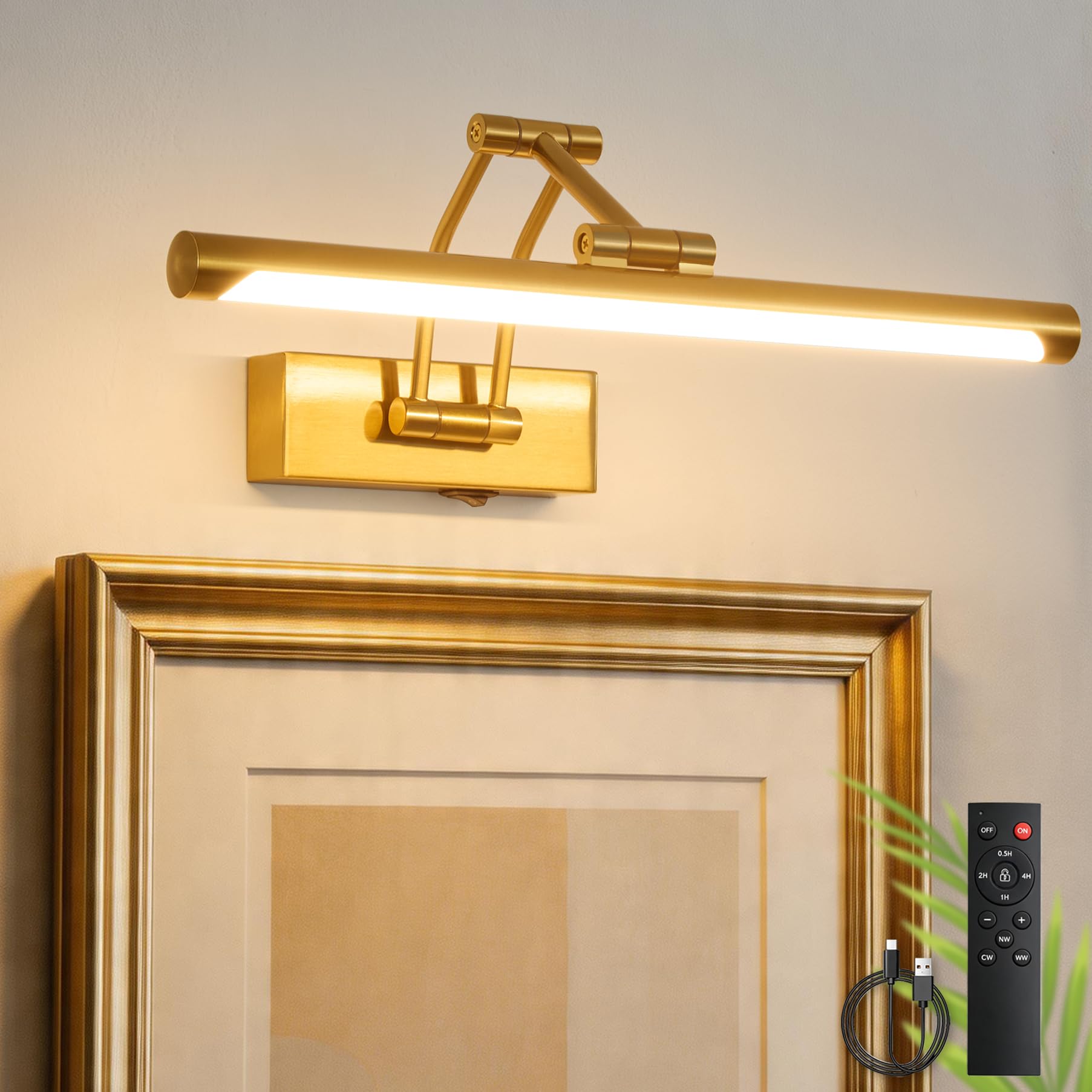 Amazon.com: ZitoStory Picture Lights for Wall Battery Operated