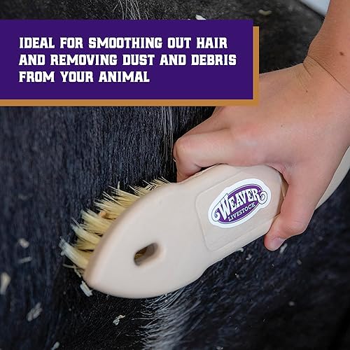 Miniatura 4 de Weaver Livestock Tampico Pig Brush Cepillo de plástico para eliminación de suciedad, cepillo Tampico de cerdas suaves para cabello liso