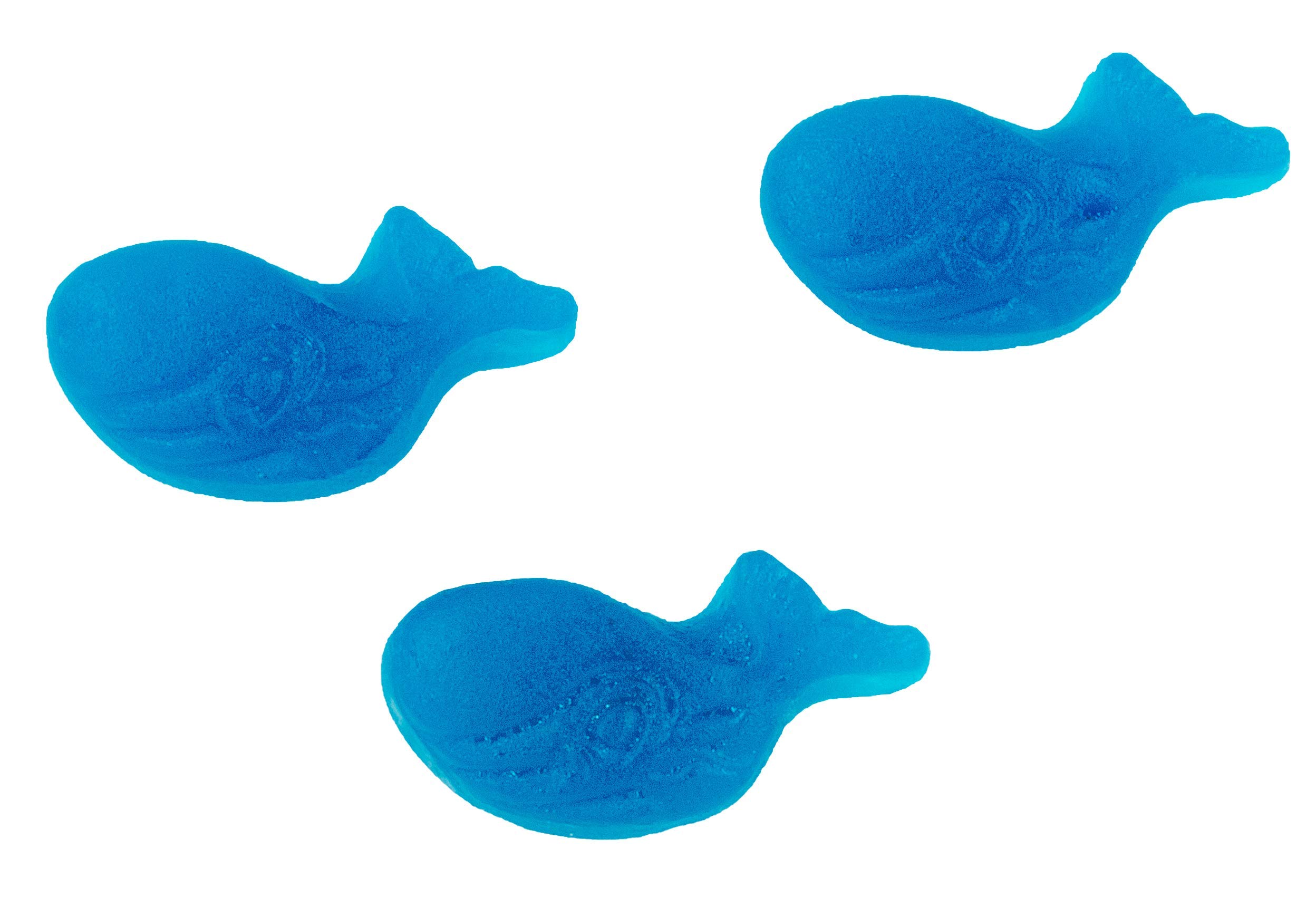 Amazon.com : McCormicks Blue Whales