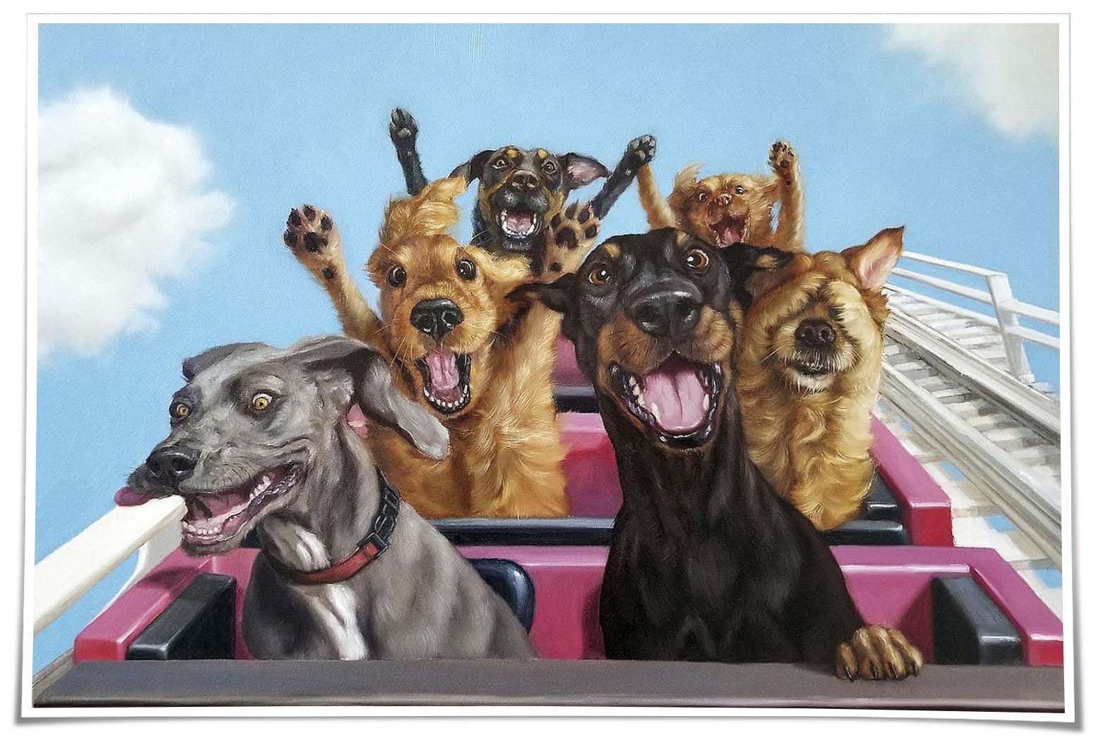 Preeklen Tin Sign 105 Roller Coaster Dog Funny Poster Decoration Print Artwork Wall Tin Sign For Bathroom Modern Pictures For Bedroom Paintings For Hallway 12X16 Inch