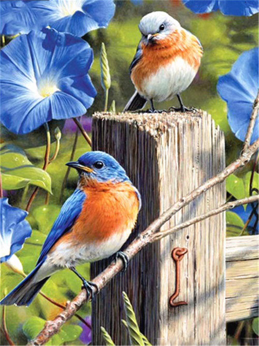 Peinture diamant complète kit oiseau fleur strass carrés mosaïque 60x80