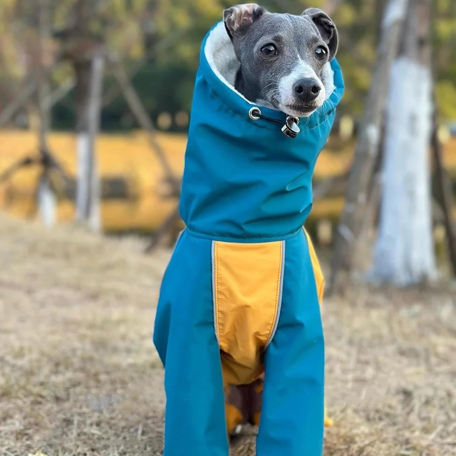 Waterproof Dog Raincoat Greyhound Coat Jumpsuit 4-Legs Long Sleeves Fleece Lined Winter Thicken Warm Snow Rain Jacket with Zipper & Adjustable Drawstring for Whippet Dogs