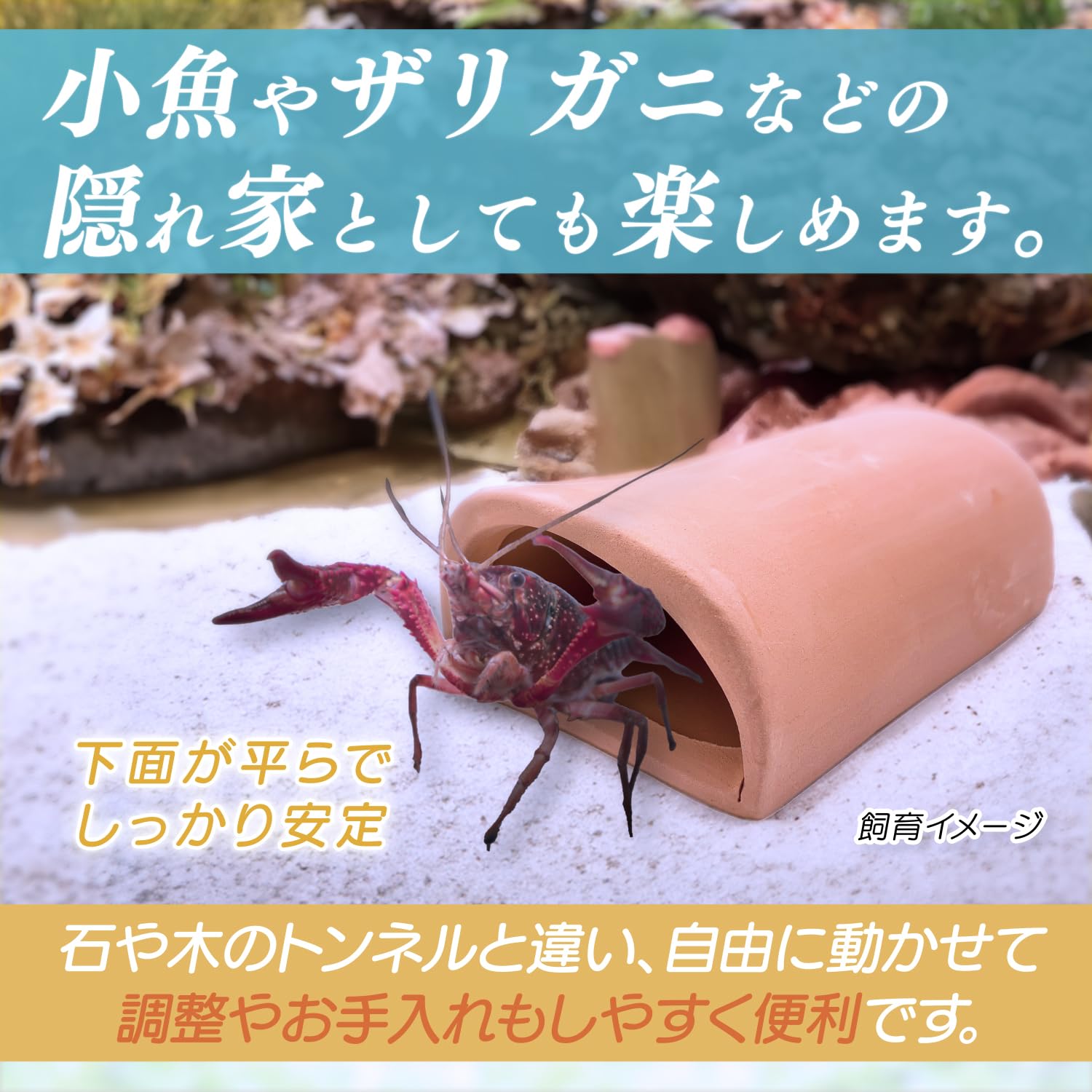 Amazon.co.jp: RedBeryl 水槽 産卵筒 シェルター 産卵床 土管 隠れ家