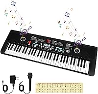 PWNLDY 61-Key Portable Digital Piano Keyboard with Dual Speakers, Microphone, 100 Tones & Rhythms - Beginner Lessons Included