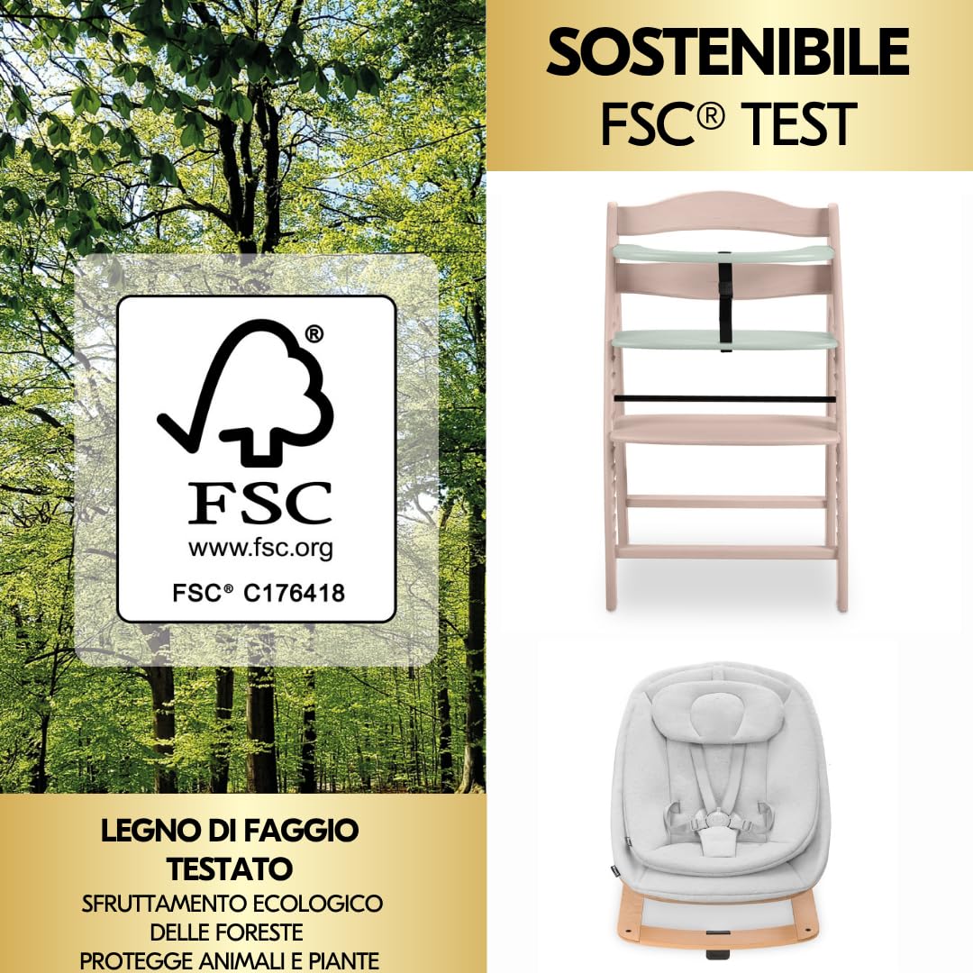 hauck Seggiolone Pappa Arketa Newborn Set Eco Bouncer – Seggiolone Evolutivo Legno Regolabile per Crescere insieme fin dalla Nascita, incluso Sdraietta Neonati e Cuscino (Faggio - Whitewashed Menta)